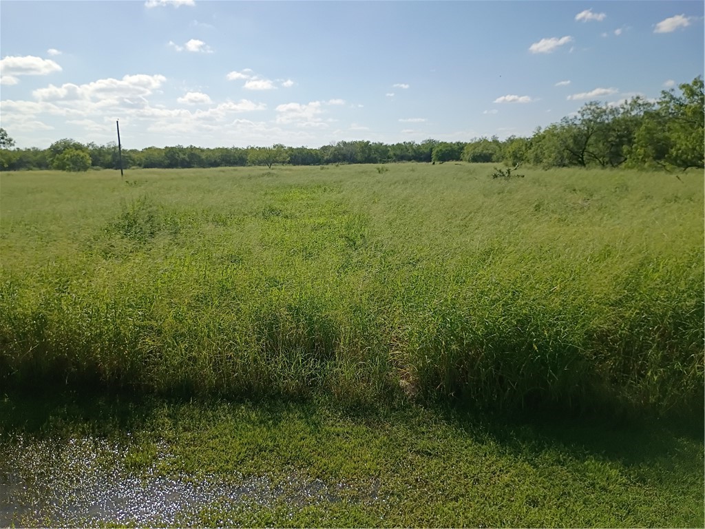 356 Deer Meadows Dr Property Photo 1