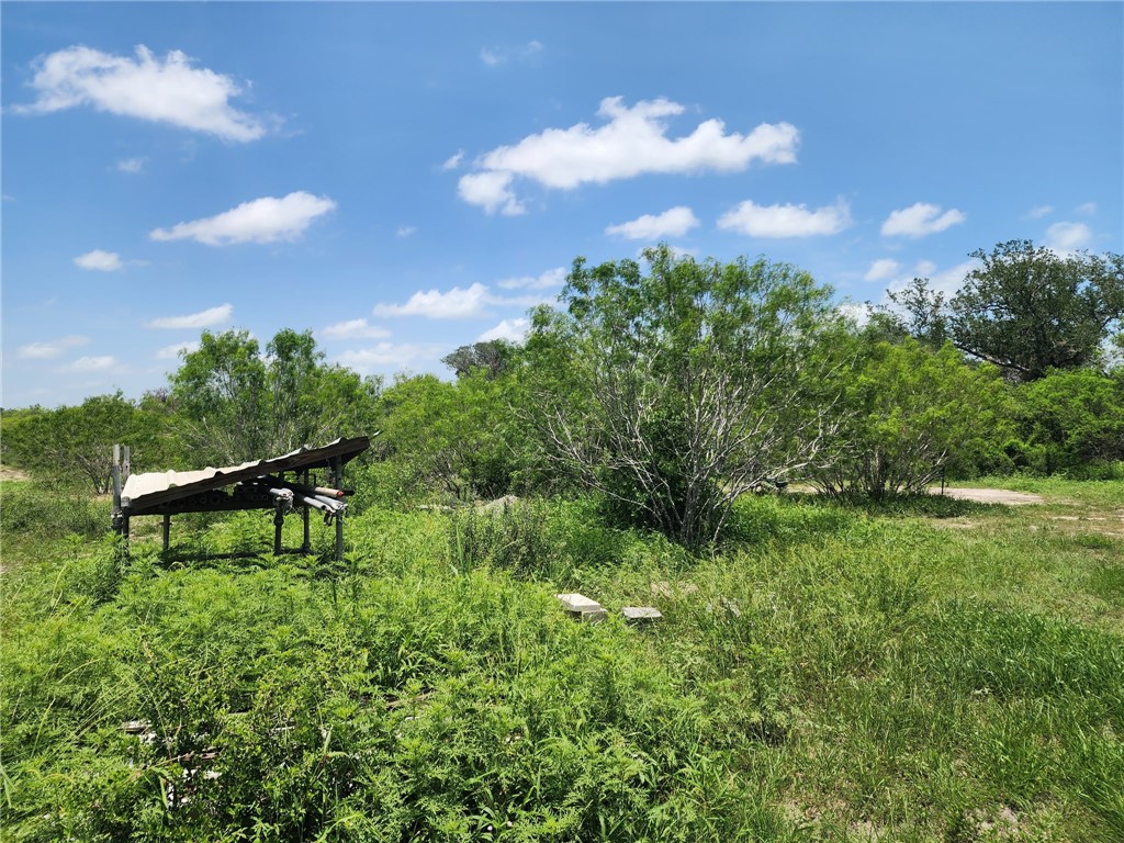 510 County Road 2391 Property Photo 5