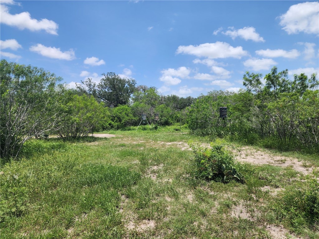 510 County Road 2391 Property Photo 6