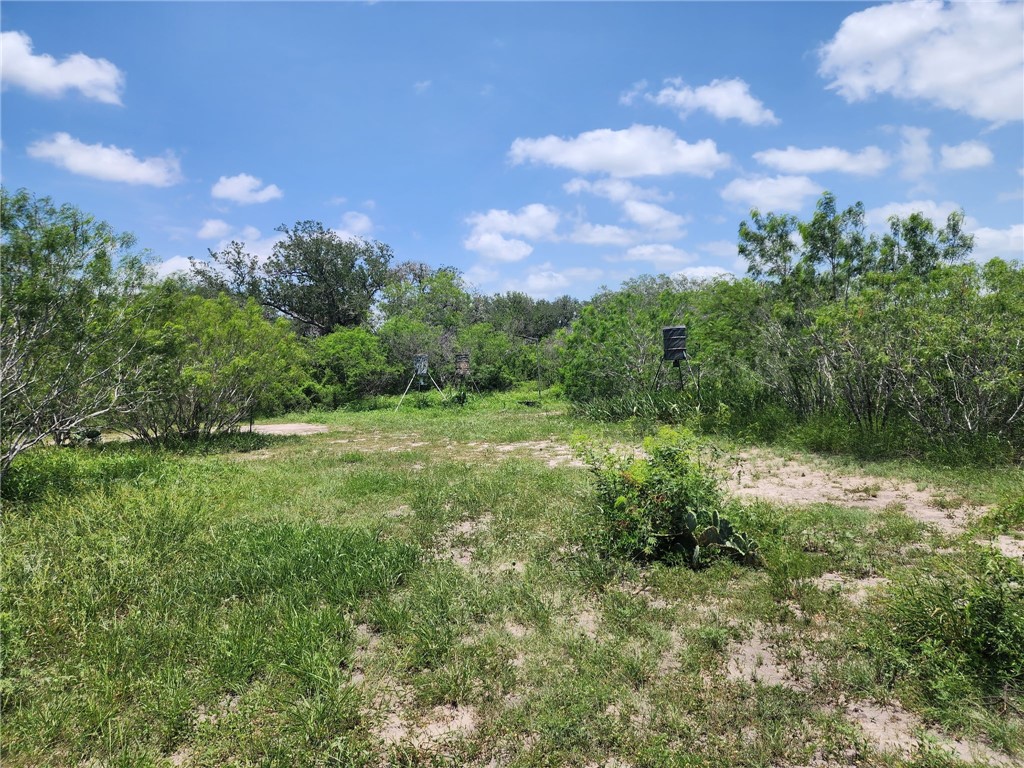 510 County Road 2391 Property Photo 7