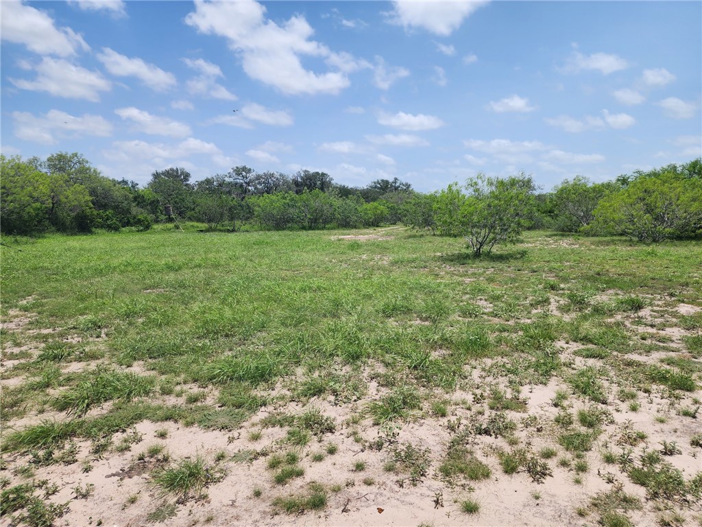 510 County Road 2391 Property Photo 8