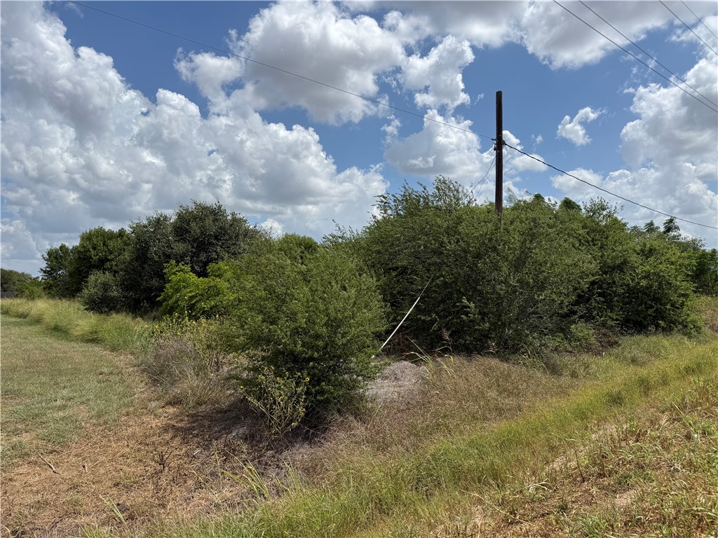 5354 County Road 40 Property Photo 1