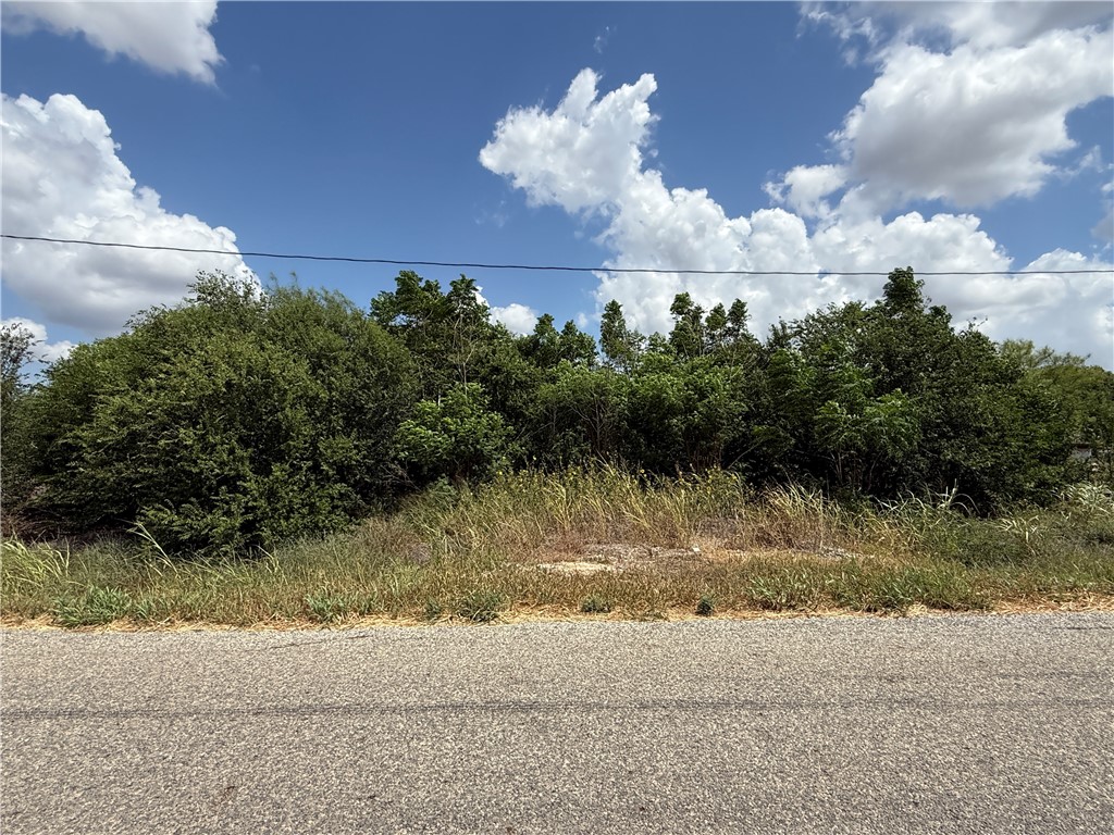 5354 County Road 40 Property Photo 2