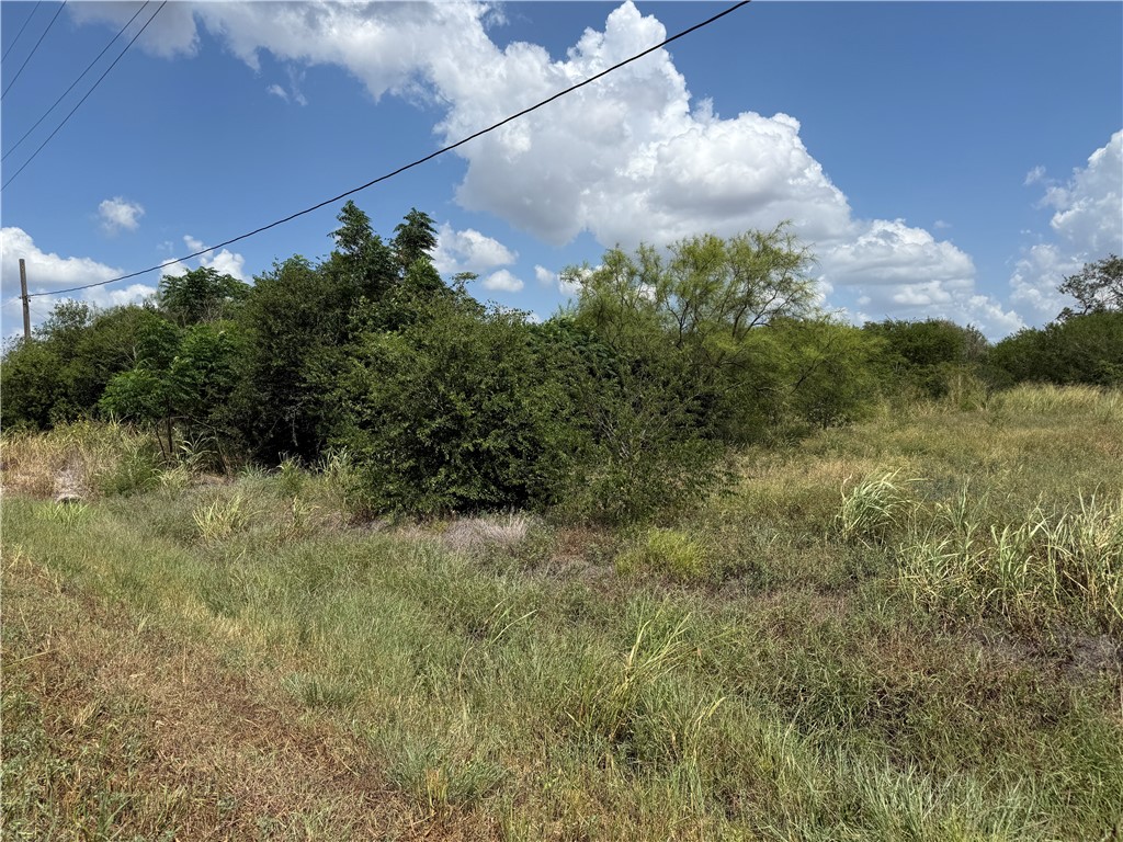 5354 County Road 40 Property Photo 3