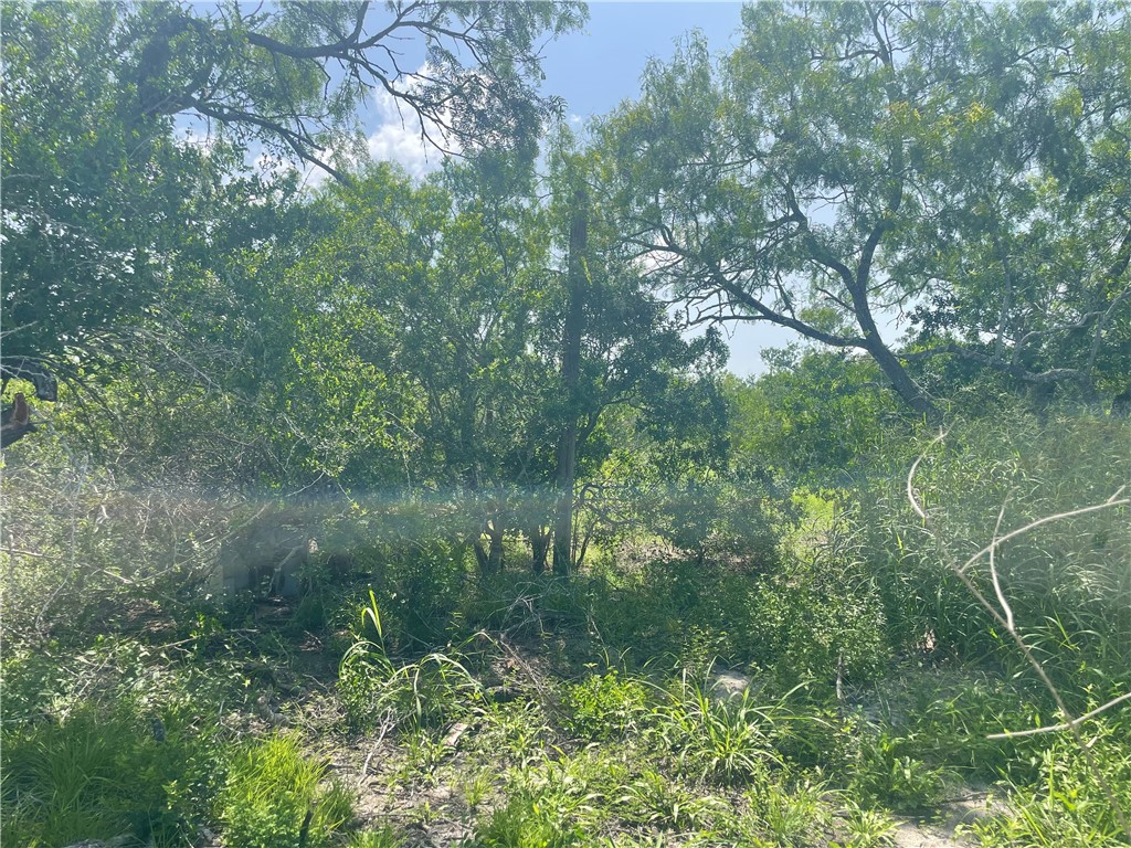 Lot 18-c County Road 608 Property Photo 4