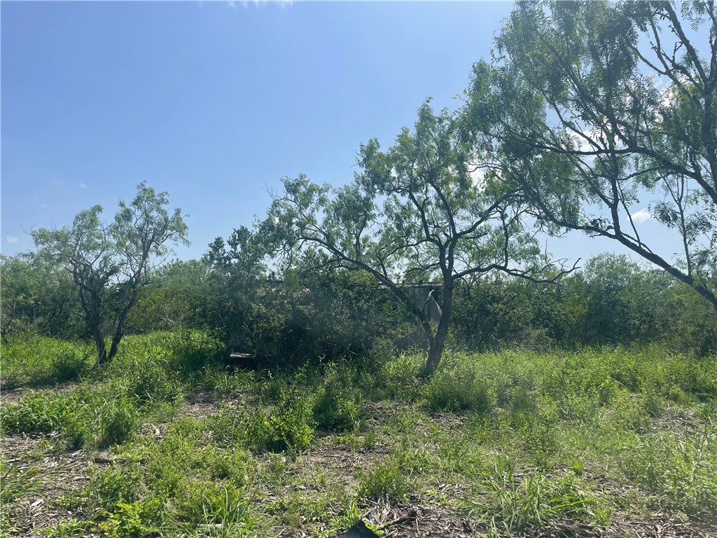 Lot 18-c County Road 608 Property Photo 5