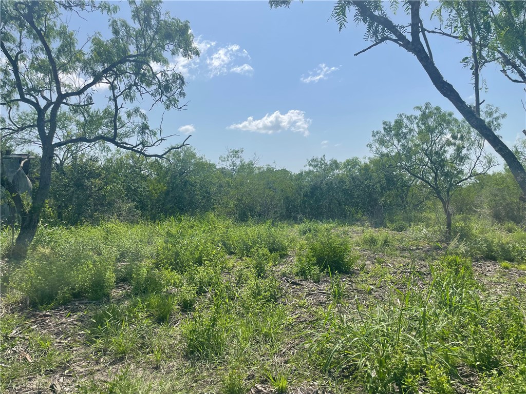 Lot 18-c County Road 608 Property Photo 6