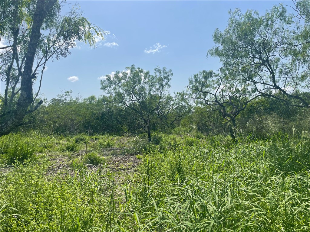 Lot 18-c County Road 608 Property Photo 7