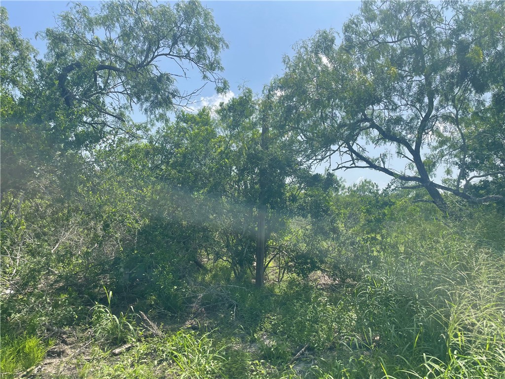 Lot 18-d County Road 608 Property Photo 1