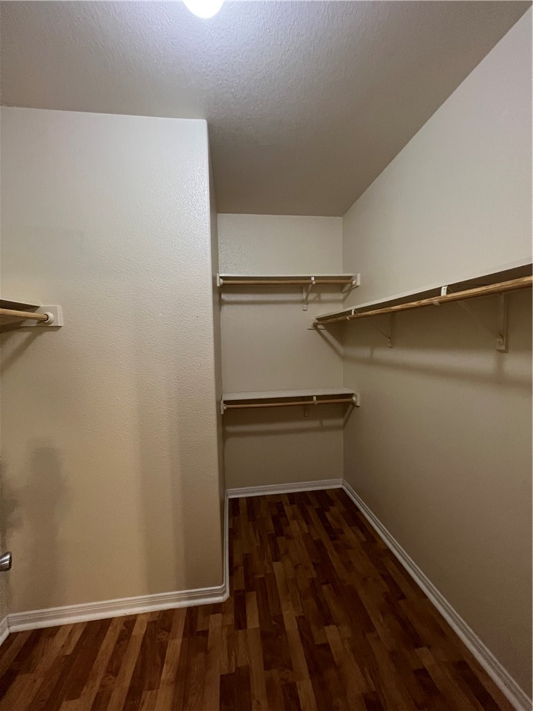 2545 Las Brisas St Property Photo 20