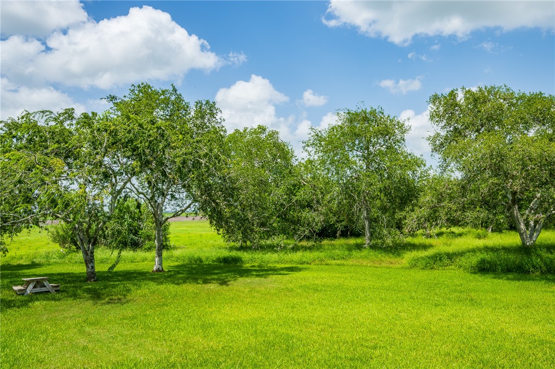 8259 Baldwin Property Photo 8