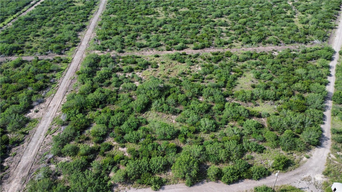 Tbd Honey Mesquite Property Photo 10