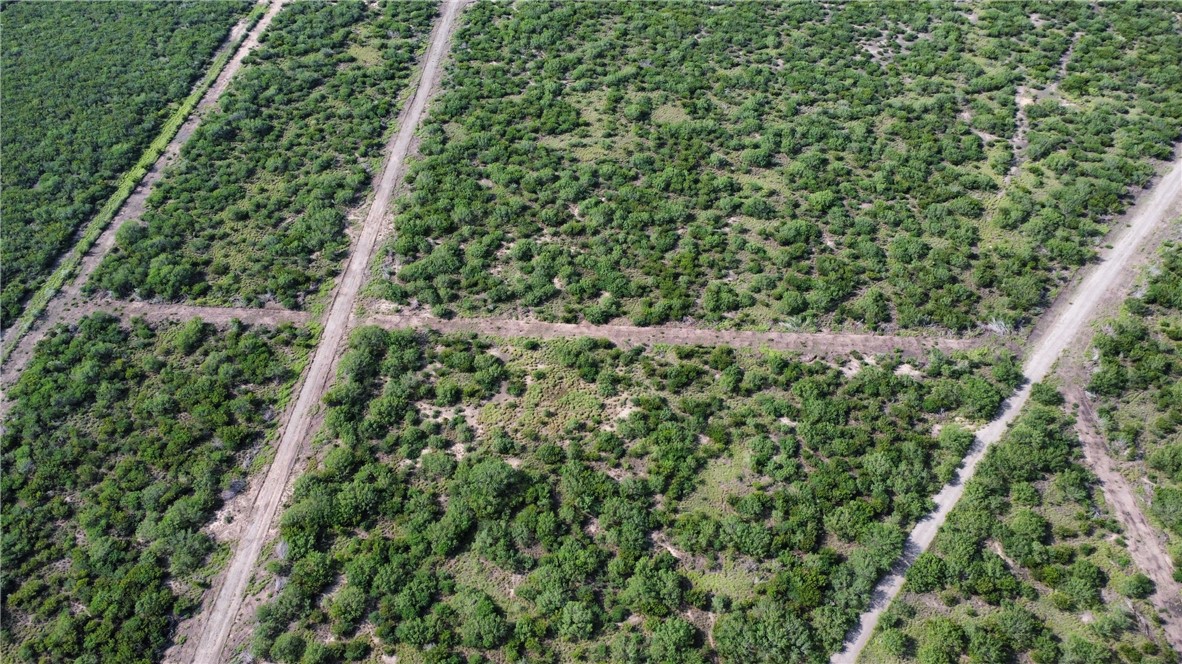 Tbd Honey Mesquite Property Photo 11