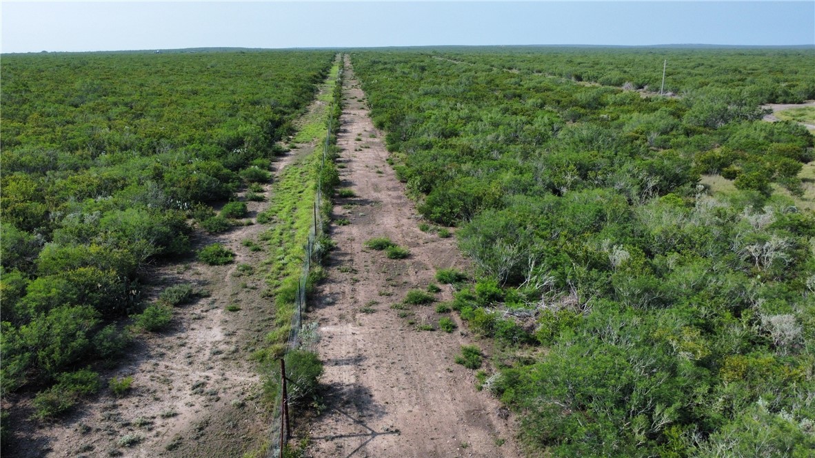 Tbd Honey Mesquite Property Photo 13