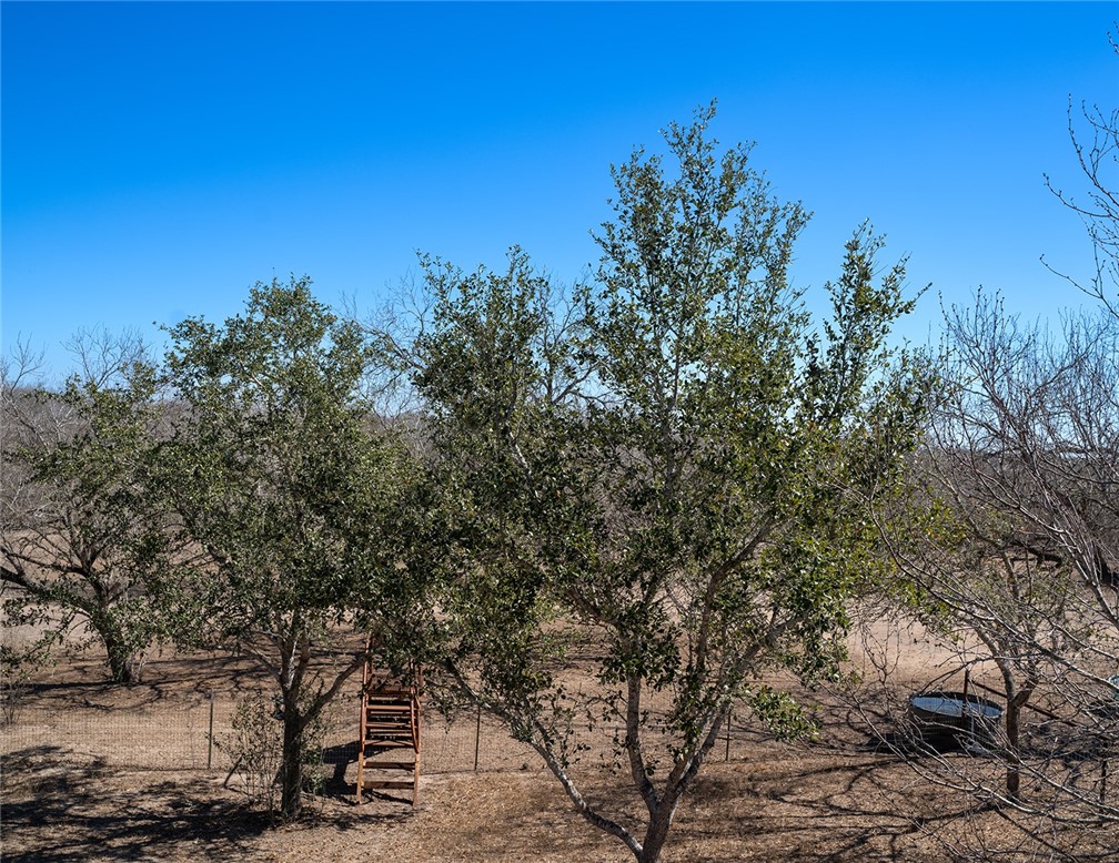571 Fm 799 Property Photo 32
