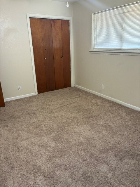 1003 Hall Ave Property Photo 11
