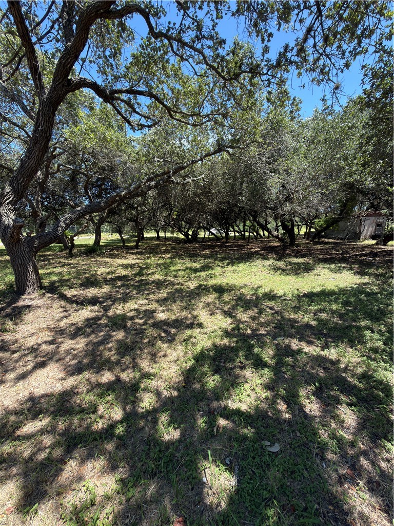0 Wildwood Dr Property Photo 1
