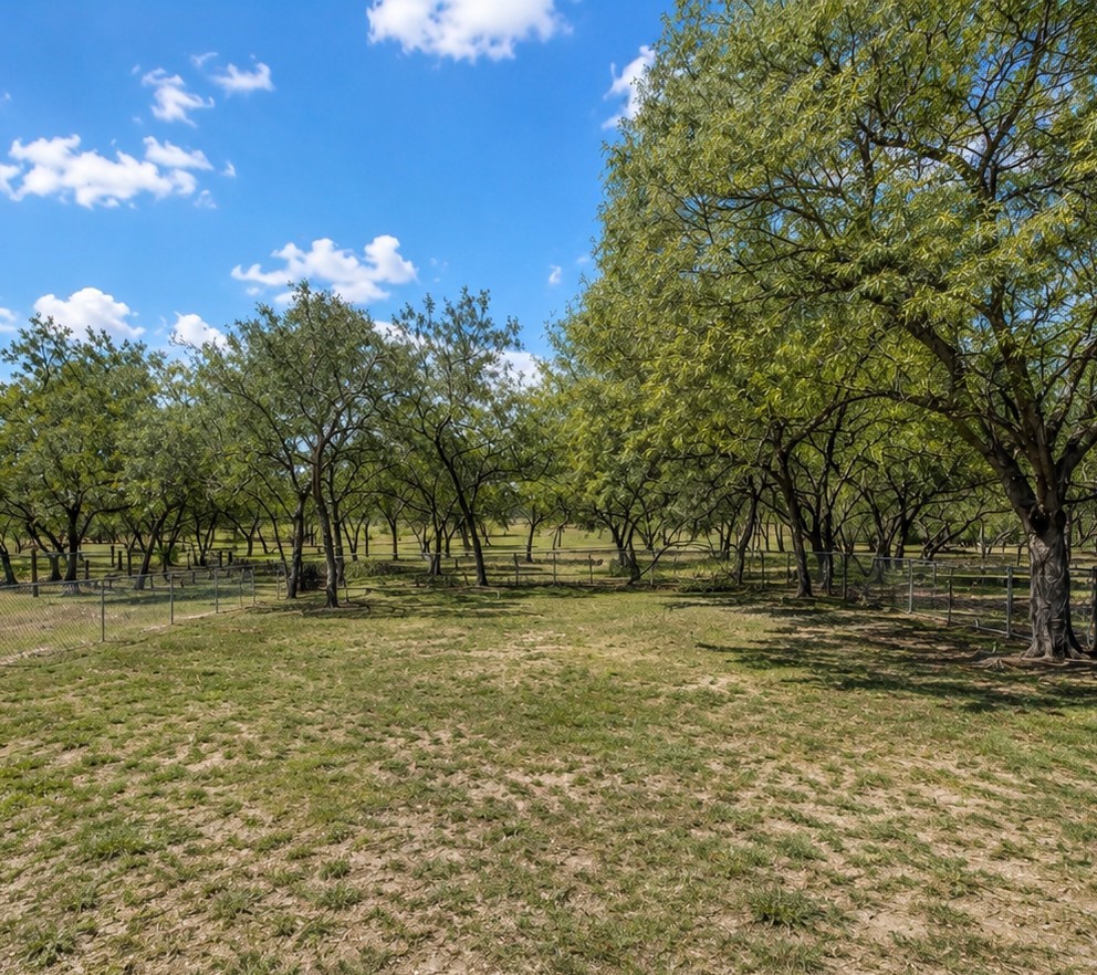 120 Swinney Switch Dr Property Photo 4