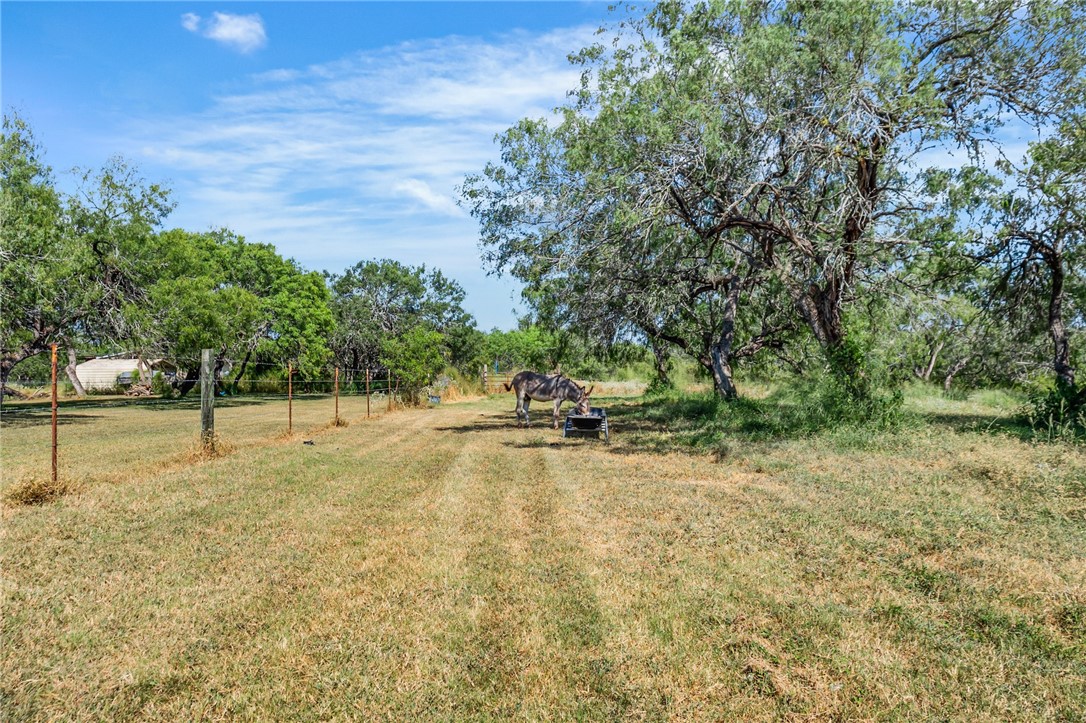 23107 County Road 1092 Property Photo 33