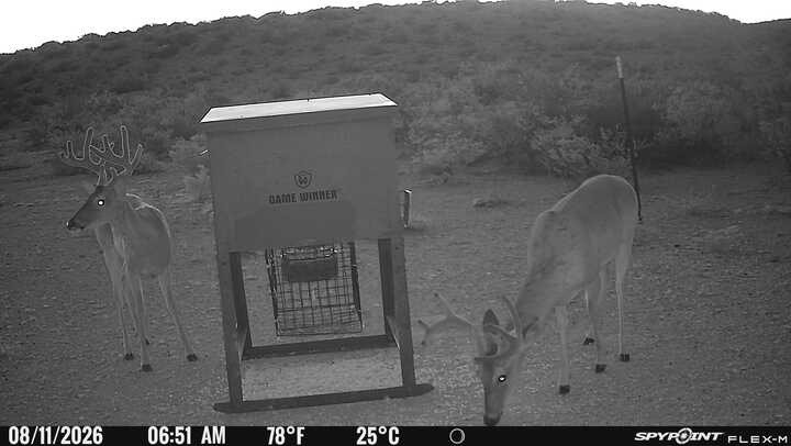 57.28 Acres Hargrove Winters Rd Property Photo 7