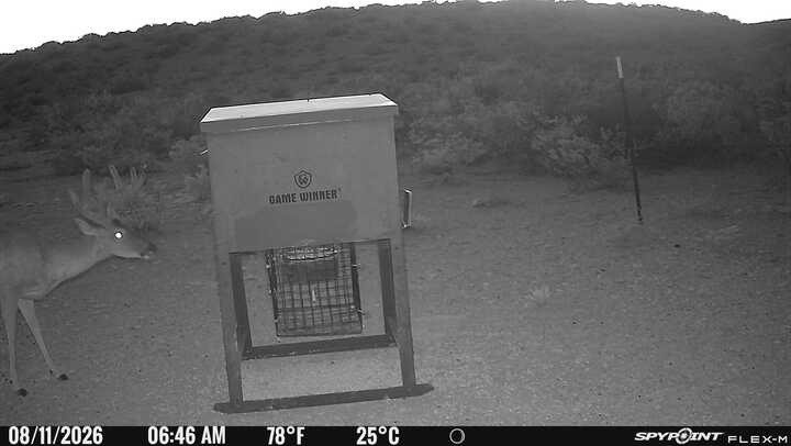 57.28 Acres Hargrove Winters Rd Property Photo 8
