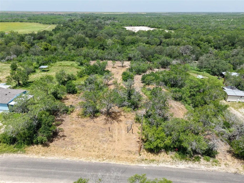 111 Choke Canyon Estates Property Photo 5