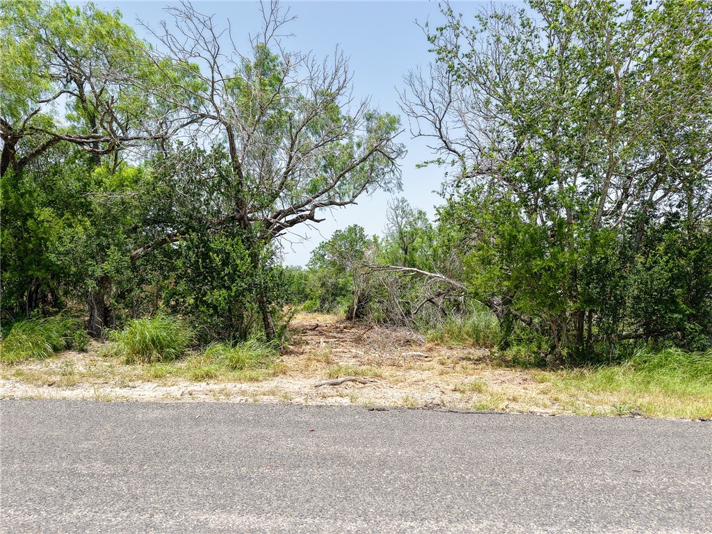 111 Choke Canyon Estates Property Photo 6