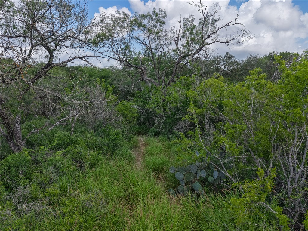 111 Choke Canyon Estates Property Photo 7