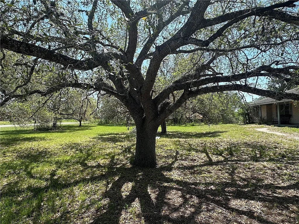 5851 Yucca Property Photo 8