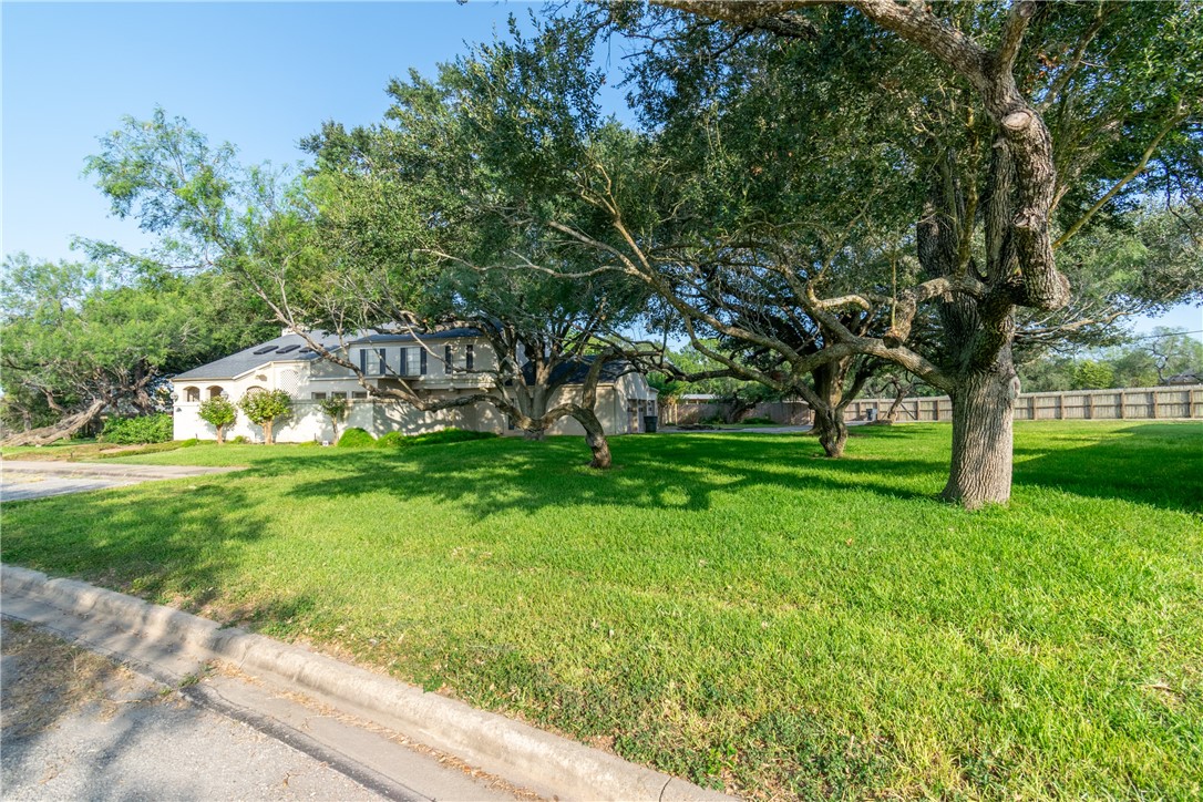 4 Caleta Cir Property Photo 28