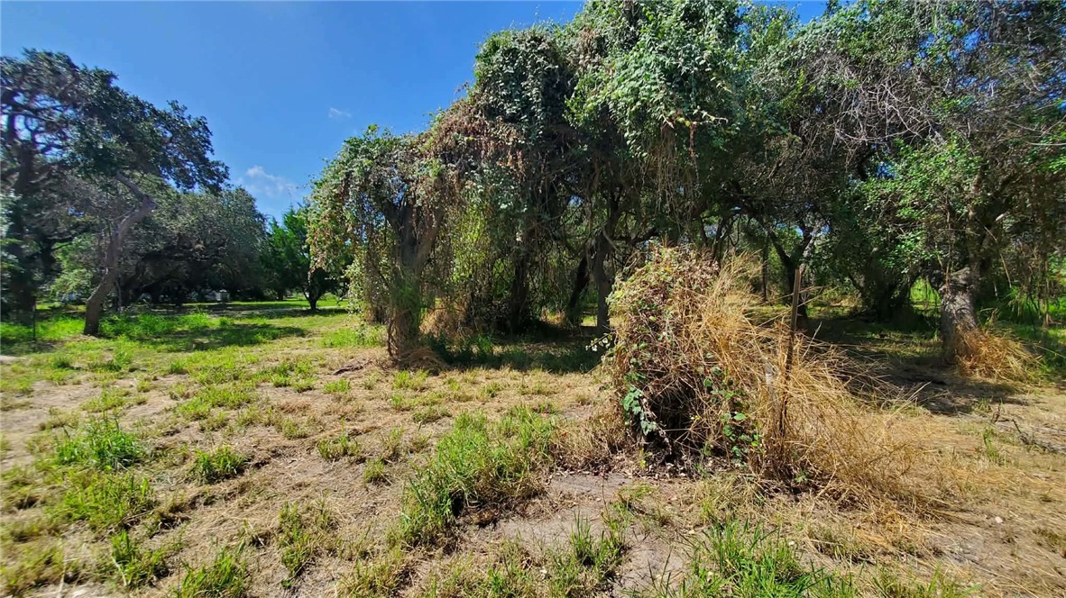 0000 Mooney Lane Property Photo 1