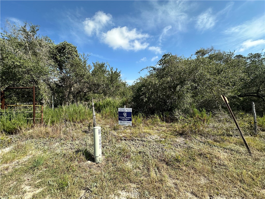 1502 Balderee Lane Property Photo 1