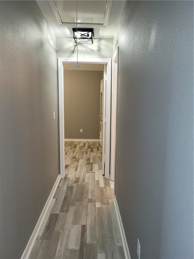 7102 Althea Ct Property Photo 6