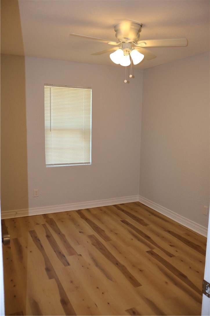 613 Francesca St Property Photo 19