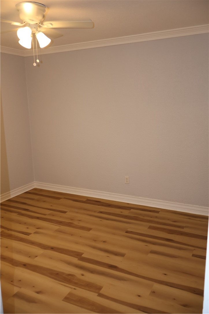 613 Francesca St Property Photo 21