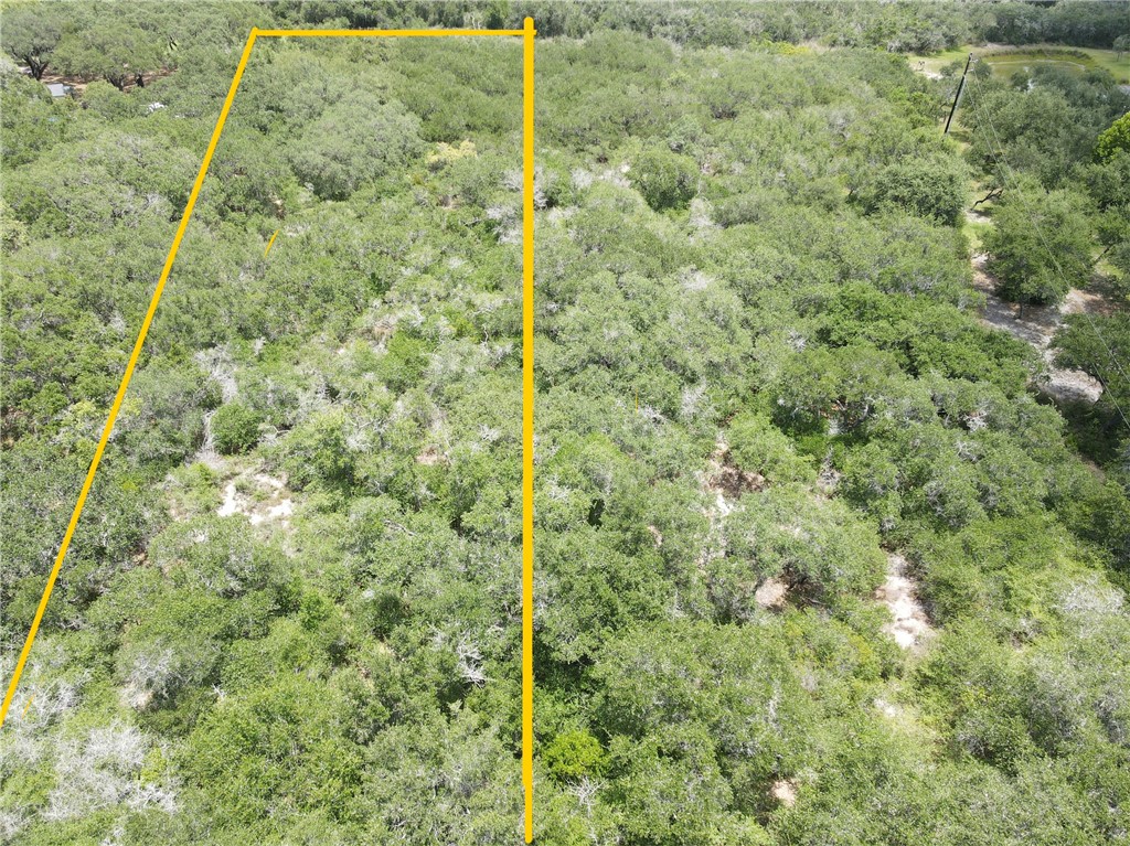 1738 Morgan Property Photo 2