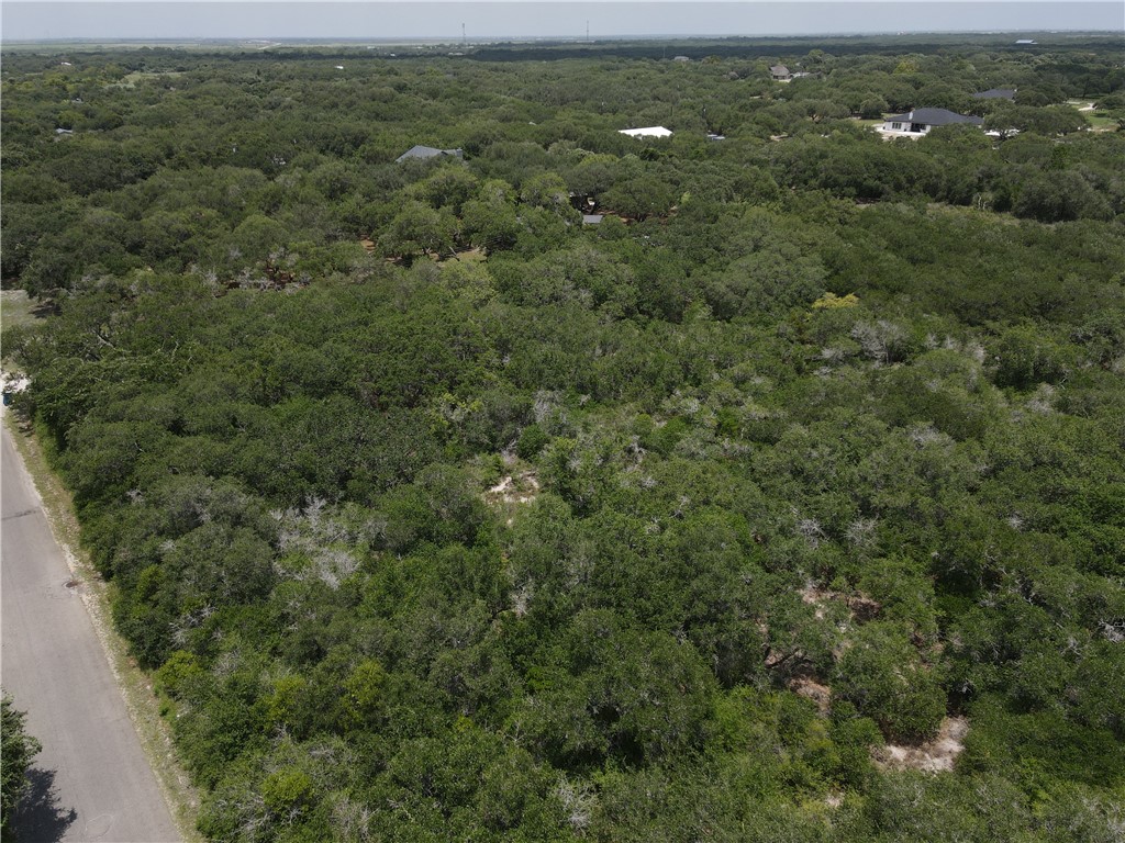 1738 Morgan Property Photo 3