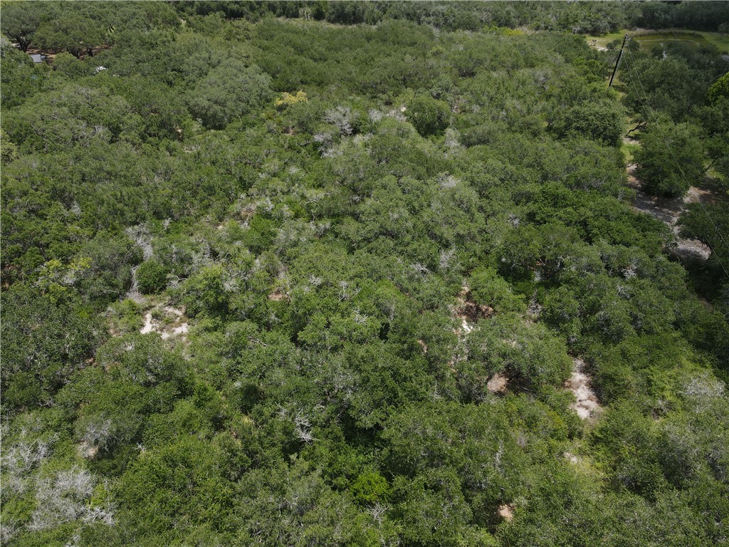 1738 Morgan Property Photo 4