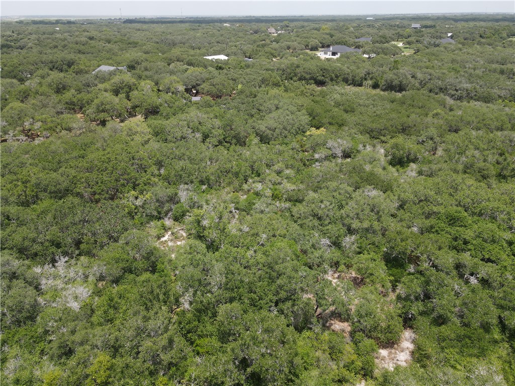1738 Morgan Property Photo 5