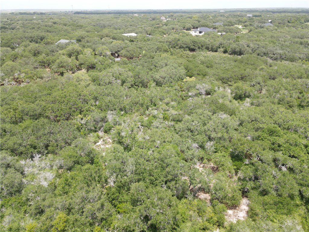 1738 Morgan Property Photo 6
