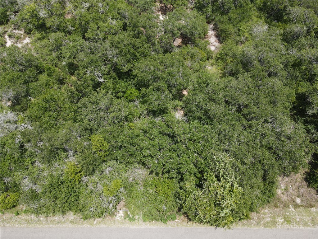 1738 Morgan Property Photo 7