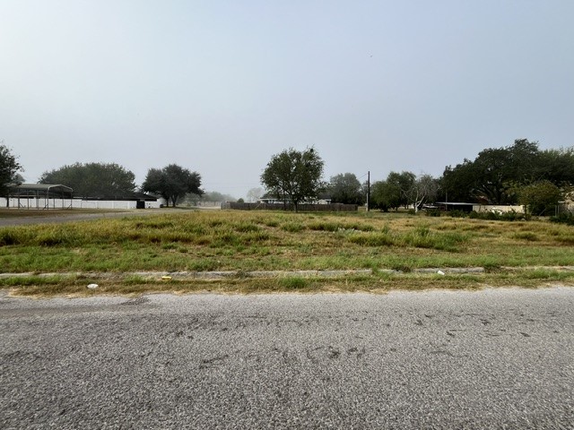 1101 W Viggo St Property Photo 2