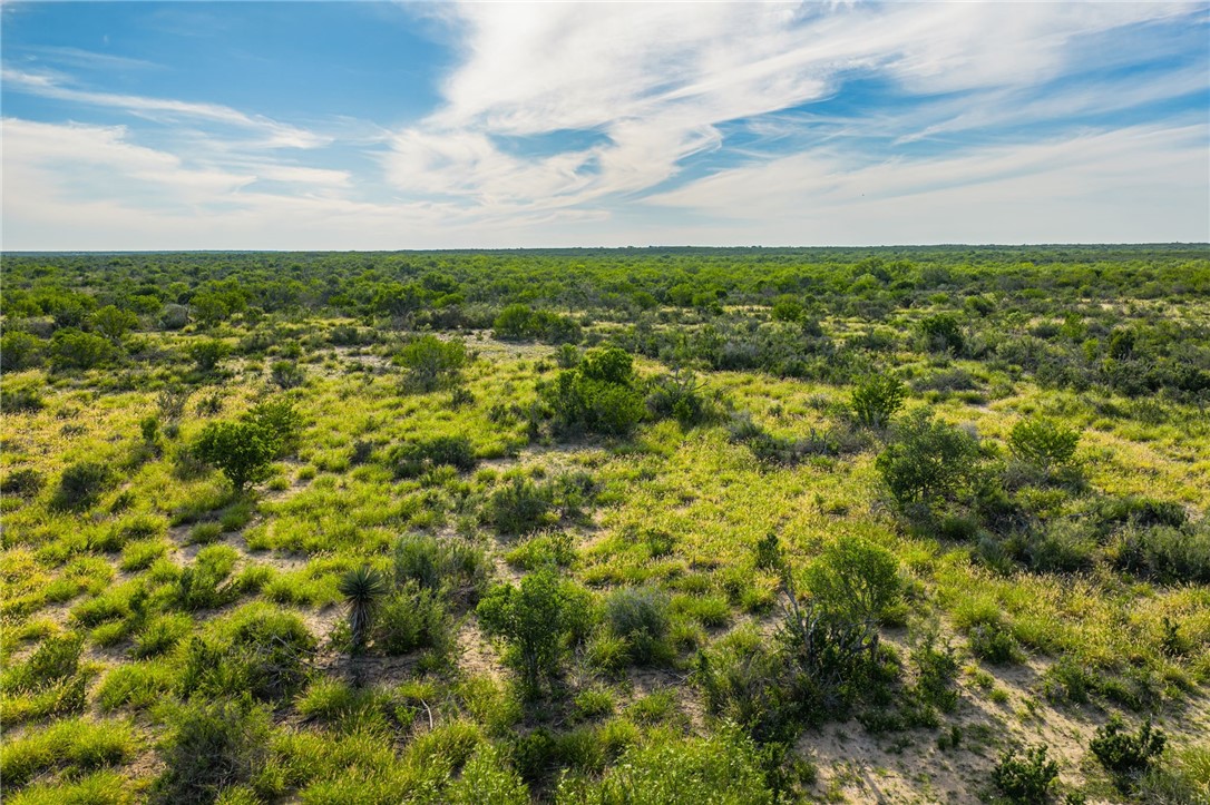 2750 Fm 624 Property Photo 11