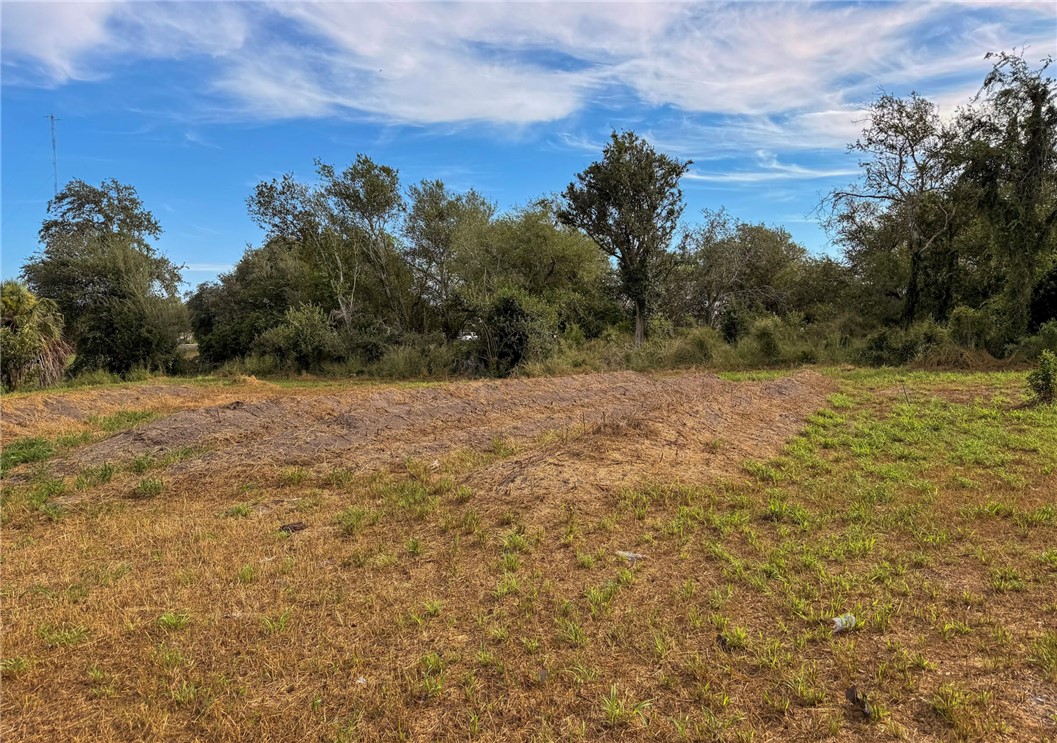 806 Pecos St Property Photo 3