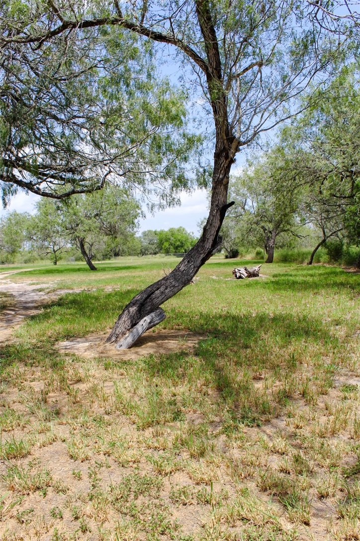 9872 County Road 623 Property Photo 30