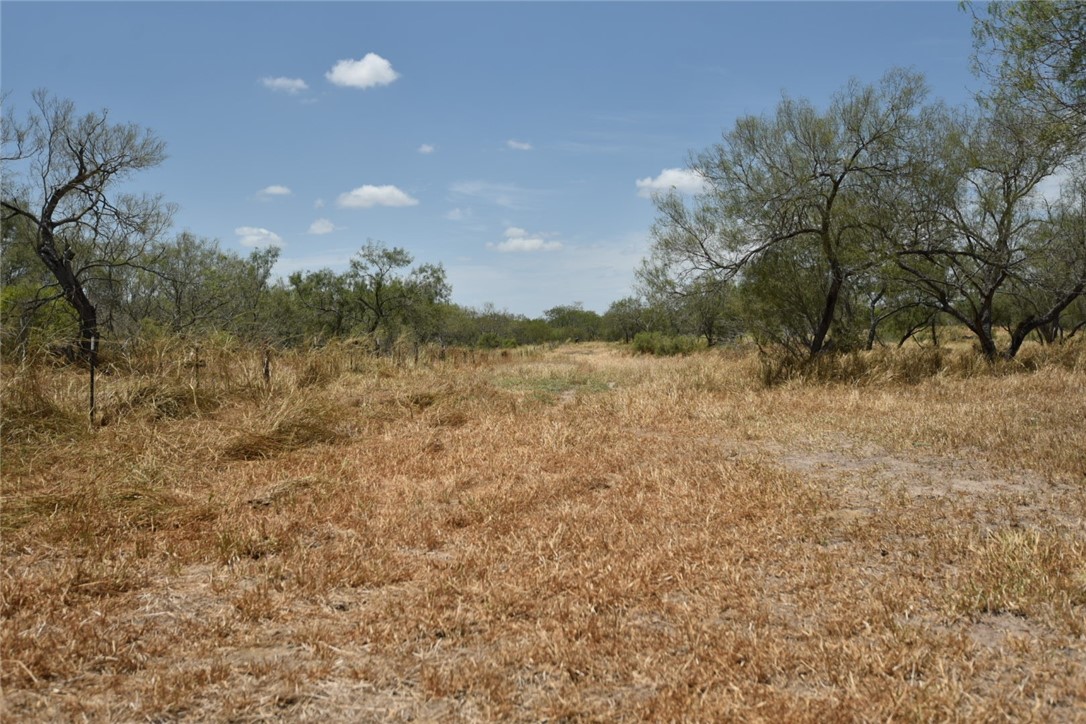 2325 E Highway 285 Property Photo 33