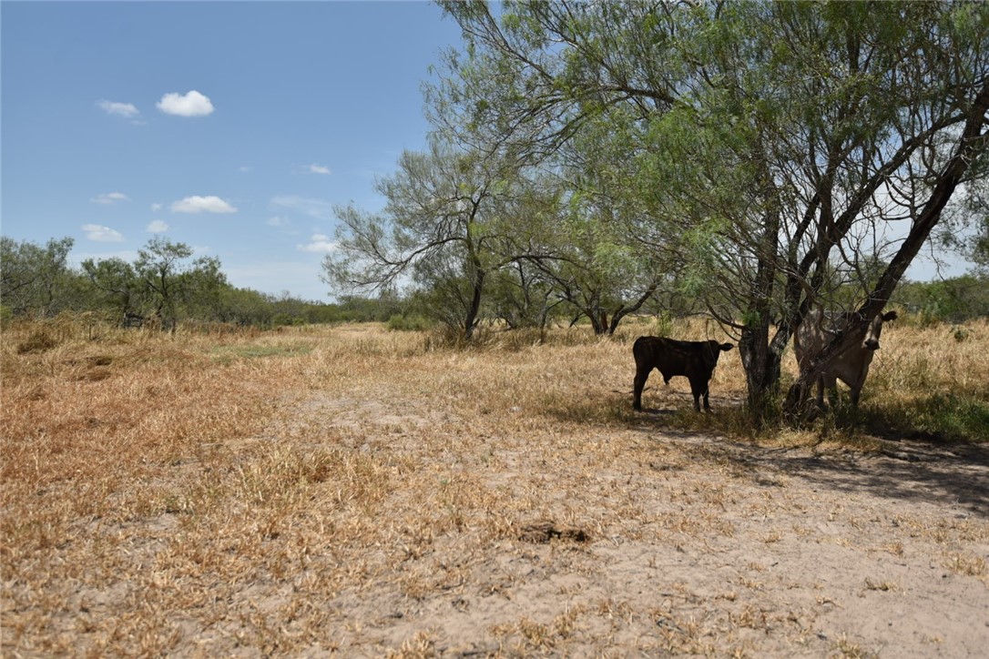 2325 E Highway 285 Property Photo 35