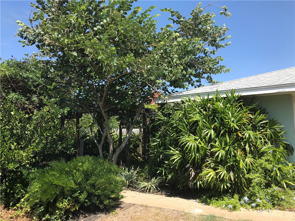 3241 Azores Dr Property Photo 22