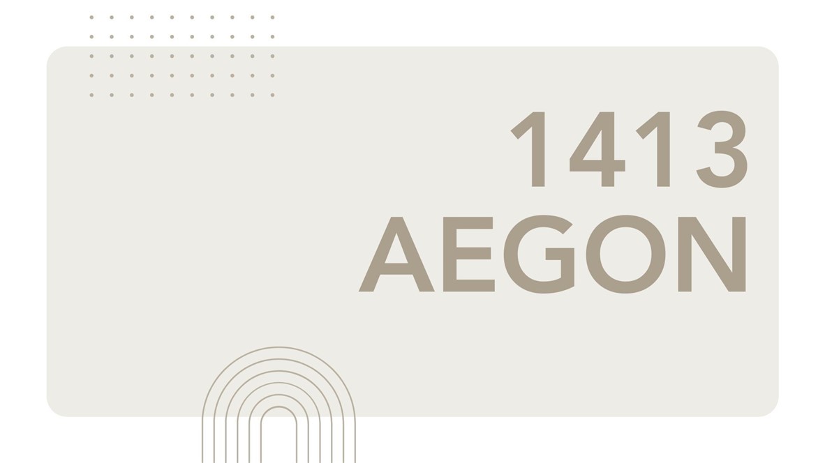 1413 Aegon Property Photo 12