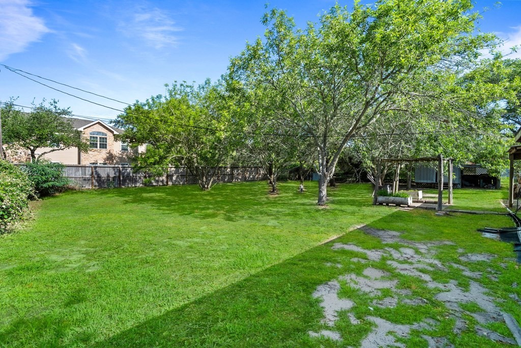 118 Saint Peter Property Photo 3